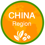China Region