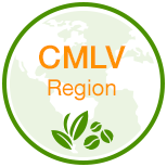 CMLS Region